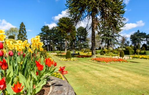 Swing into Spring at Brodsworth Hall