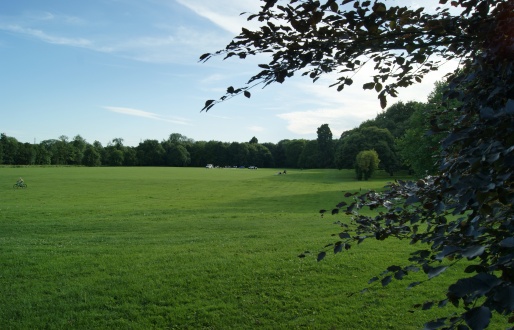 Campsall Country Park