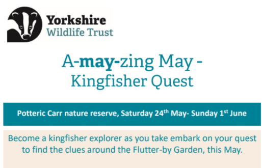 aMAYzing May at Potteric Carr Nature Reserve