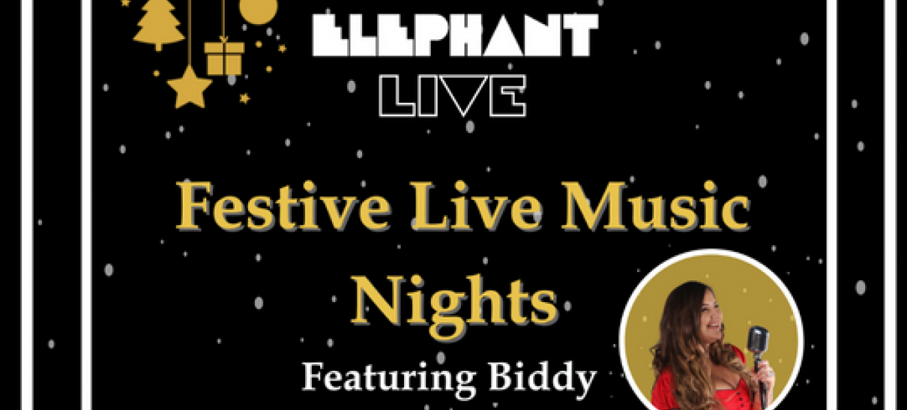 Festive Live Music Nights