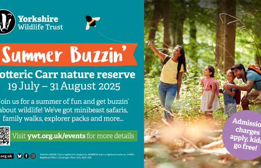 Summer Buzzin at Potteric Carr
