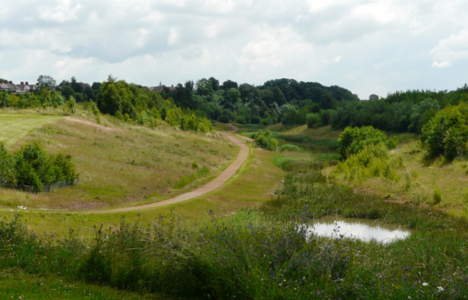 Brodsworth Community Woodland