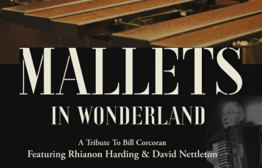 Hallgate Chamber Orchestra Concert