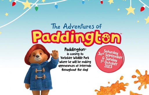 The Adventure's of Paddington