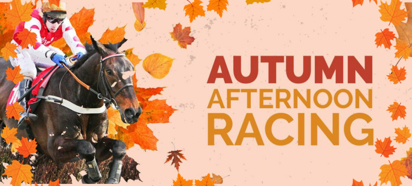 Autumn Afternoon Racing at Doncaster Racecourse