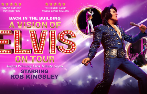 A Vision of Elvis