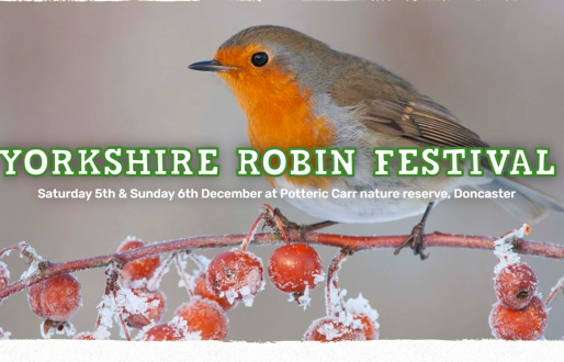 Yorkshire Robin Festival