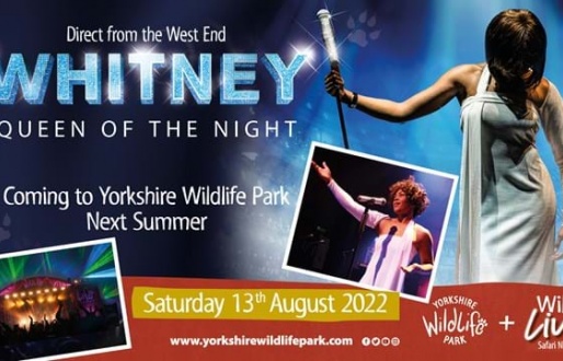 Wild Live Safari Nights- Whitney Queen of the Night