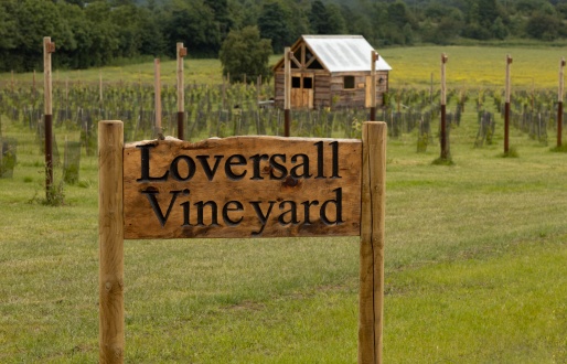 Loversall Vineyard