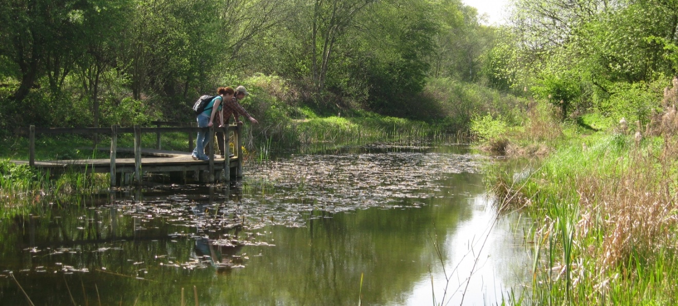 Pond Dipping at Doncaster's Potteric Carr