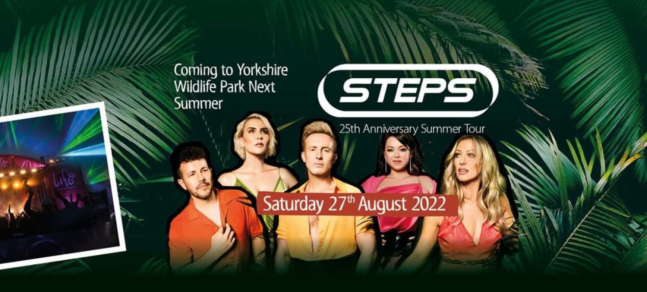 Steps Wild Live Safari Nights