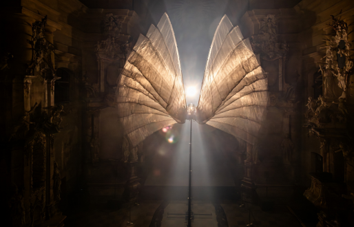 Festival of Light- The Bird of a Thousand Voices