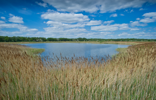 Frightfully Fun Half Term at Potteric Carr