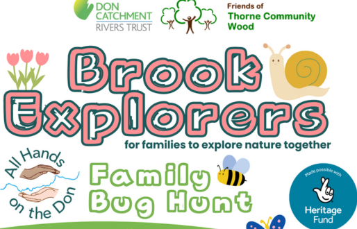 Brook Explorers with DCRT