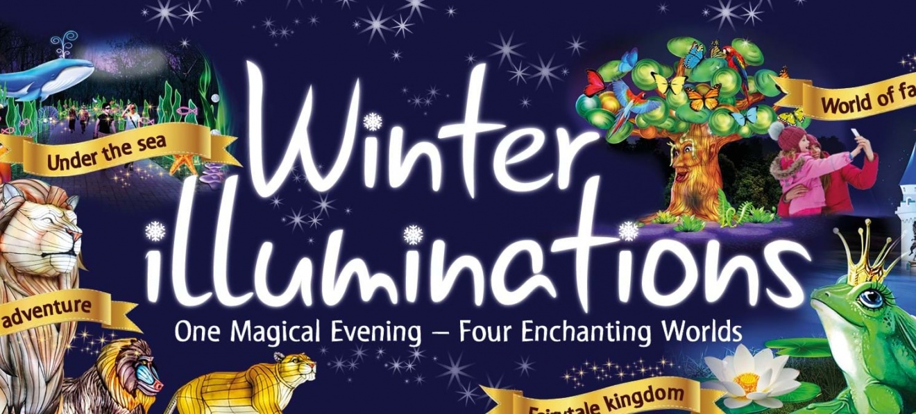 YWP Illuminations
