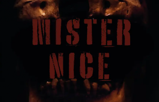 Mister Nice
