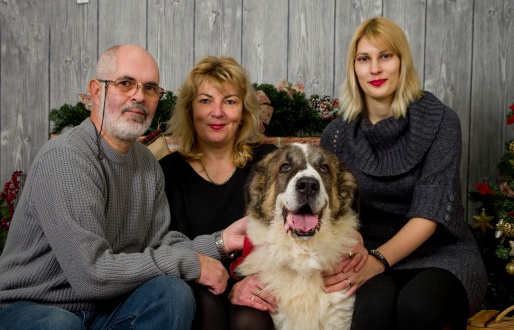 Christmas Family Photos For a Good Cause