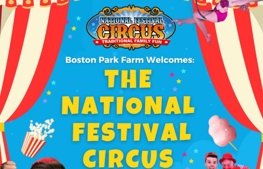 Big Top Circus