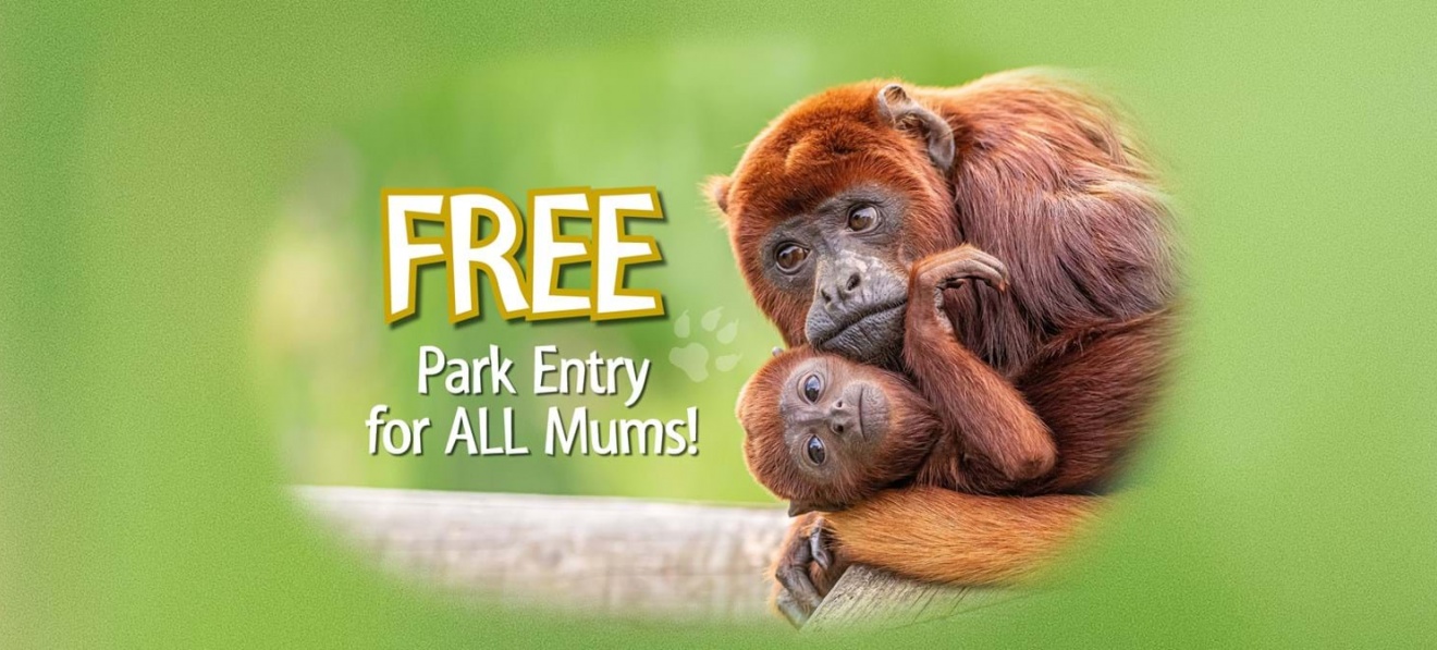 Mothers Day at Yorkshire Wildlife Park