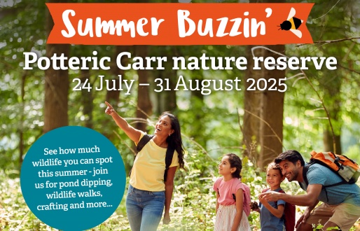 Summer Buzzin at Potteric Carr