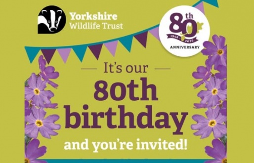 Yorkshire Wildlife Trust’s 80th Birthday Celebration at Potteric Carr