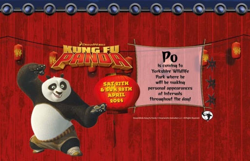 Kung Fu Panda Character Day