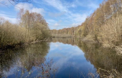 Thorne and Hatfield Moors