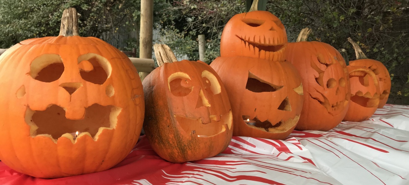 Spooktacular Events at Boston Park Farm