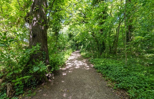 Woodfield Wildlife Weekend & Bioblitz