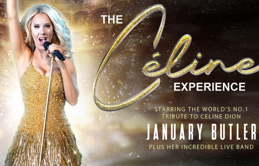 The Celine Experience
