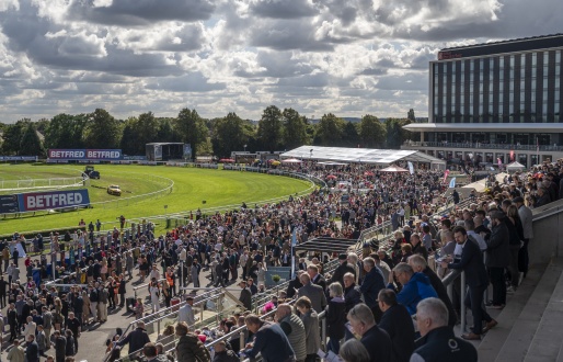 Friday afternoon- June Flat Racing 2026