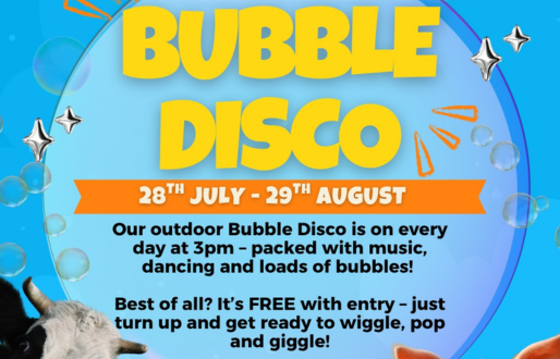 Boston Park Farm Bubble Disco
