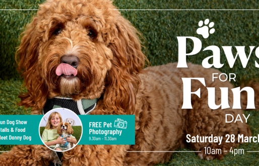 Paws for Fun Day