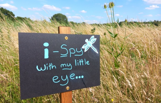 I-spy summer at Potteric Carr Nature Reserve
