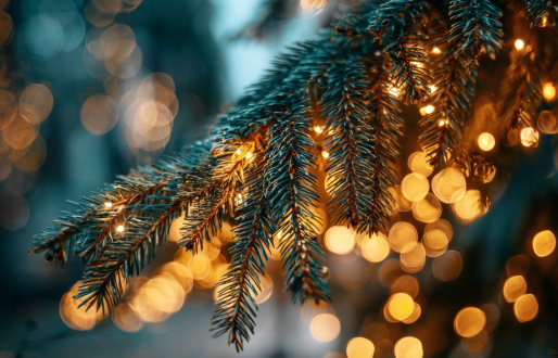 Christmas Cabins Launch in Doncaster City Centre