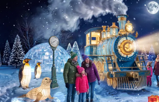 Winter Illuminations