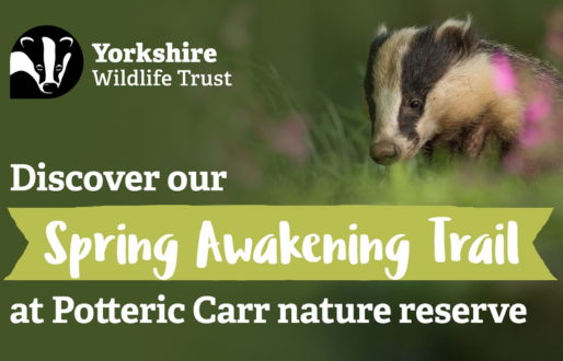 Spring Awakening Trail