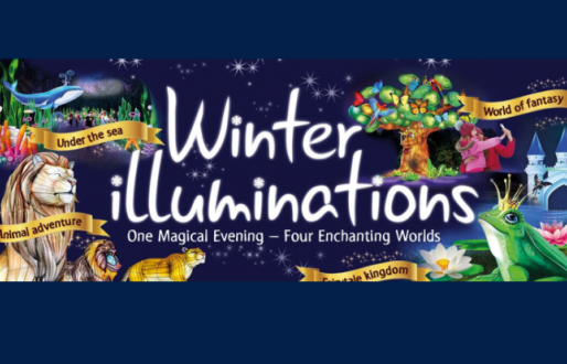 Winter Illuminations